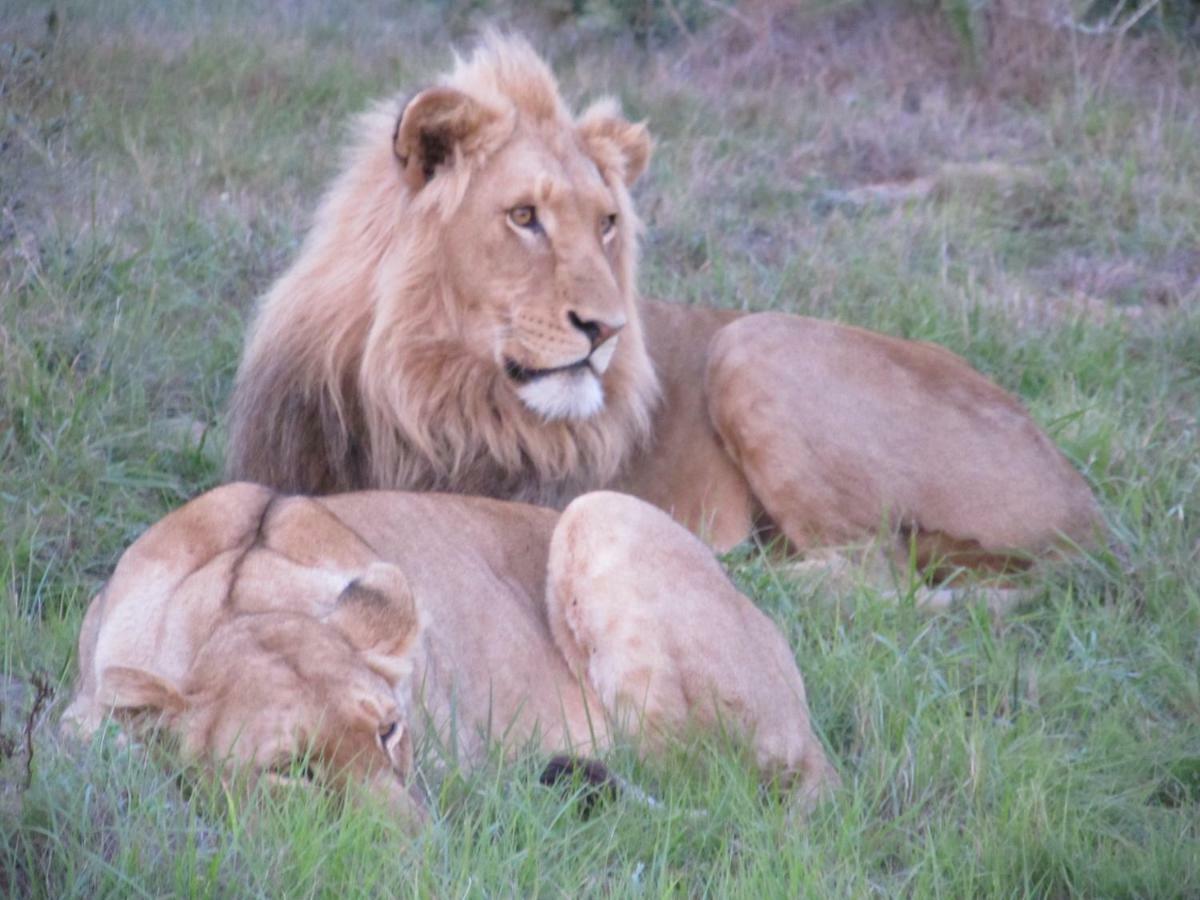 Addo Gateway Lodge Colchester Exteriör bild